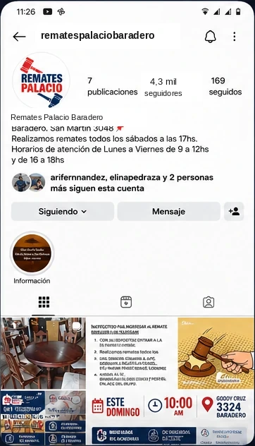 Representación visual aprobada del perfil de Instagram de Remates Palacio